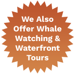 Whale watching and Waterfront tours